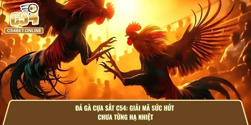 Đá gà cựa sắt C54: Khoảnh khắc chiến kê tung đòn cực căng