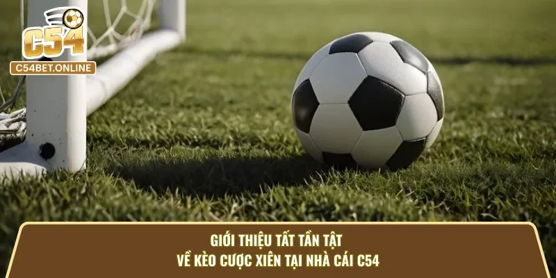 Giới thiệu chung về kèo cược xiên tại nhà cái C54