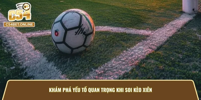 Khám phá yếu tố quan trọng khi soi kèo cược xiên