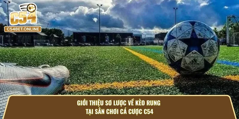 Giới thiệu chung về kèo rung tại sân chơi cá cược C54