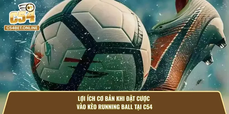 Lợi ích cơ bản khi đặt cược vào kèo rung tại C54