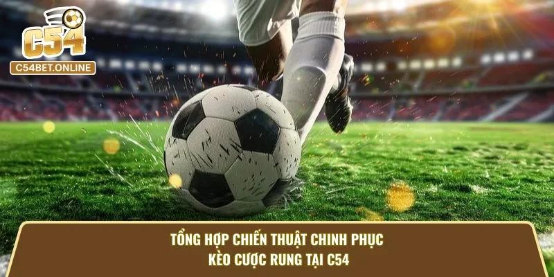 Tổng hợp chiến thuật chinh phục kèo rung tại C54
