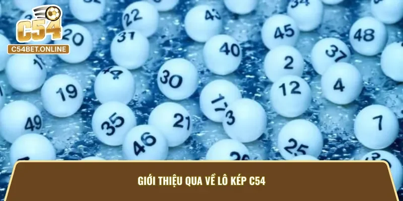 Khái quát về loại hình lô đề thú vị tại C54